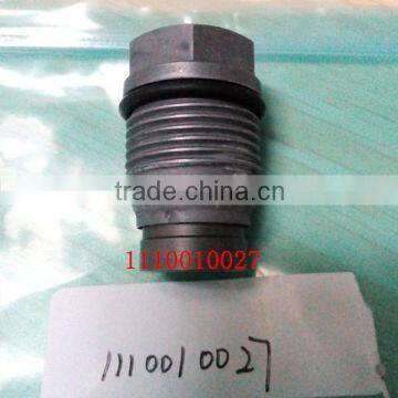 Hot Sale Diesel Fuel Engine Plunger PW Type PW5