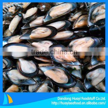 half-shell mussel