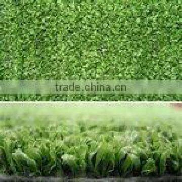 gateball grass