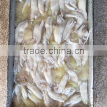 Fresh frozen argentinus illex squid roe