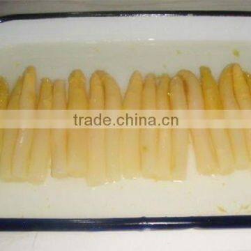 Good Quality Canned White Asparagus