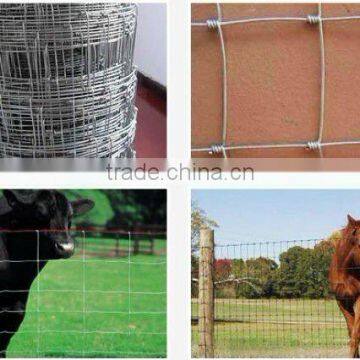 Standard Knotted Filed Fences (Factory direct sales)