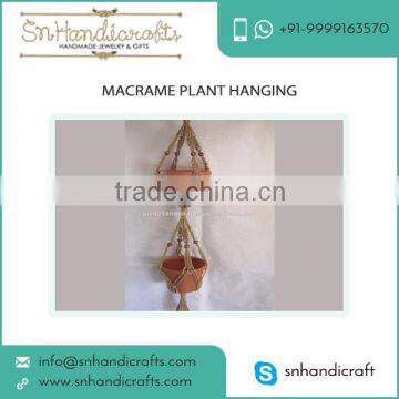 Alluring Style Eye Catching Design Macrame Plant Hangers for Sale