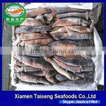 Frozen Illex Argentinus Squid Whole 100g down