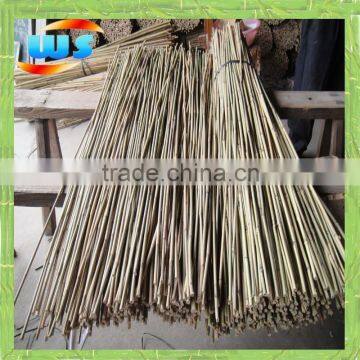 Green bamboo cane used for variety show performance 4ft 10/12MM