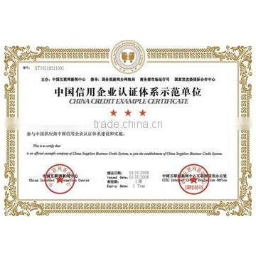 China Credit Example Certificate