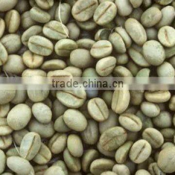 robusta coffe best price