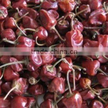 Mundu Red Chilles From Tamilnadu photo-3