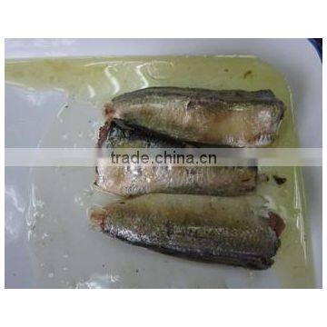 Wholesale Canned Sardine in Oil Lowest Price