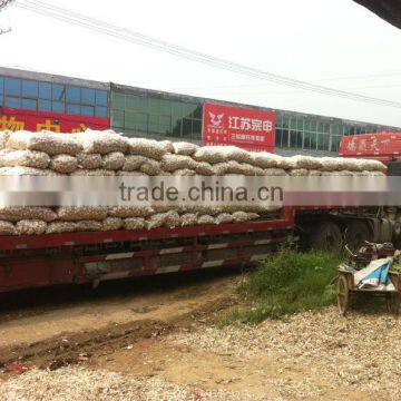 5.0~5.5cm fresh garlic exporter from China