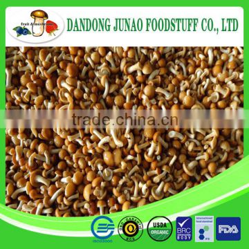 Common Cultivation iqf frozen fresh nameko mushroom