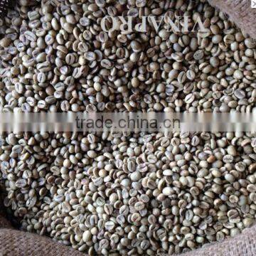 MANUFACTURER VIETNAM WET POLISHED ROBUSTA COFFEE S18 (+841657106604 - WHATSAPP) photo-6