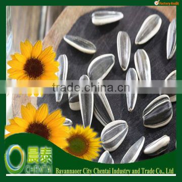 2013 New Arrival High Quality Hulled Striped Hybird Sunflower Seeds 5135