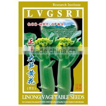 Yellow flower kale seed