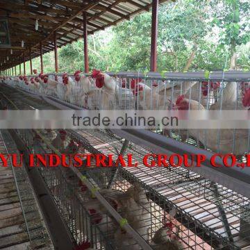 TAIYU Batteries In For Broiler Chicking Breeding