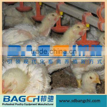 New Design China Automatic Chicken Nipples Drinker forPoultry