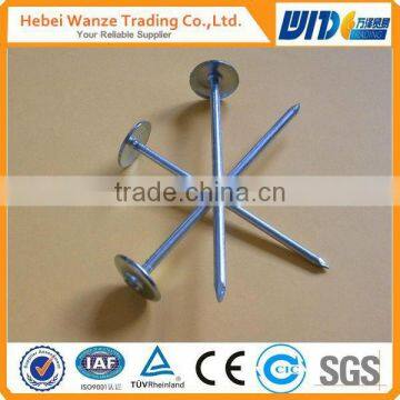 Galvanized Umbrella Head Roofing Nails with Twisted Shank plastic caps roofing nails