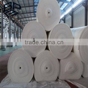 250g/m2 Needle Punched High Strength Non Woven Geotextile for Road Construction photo-4