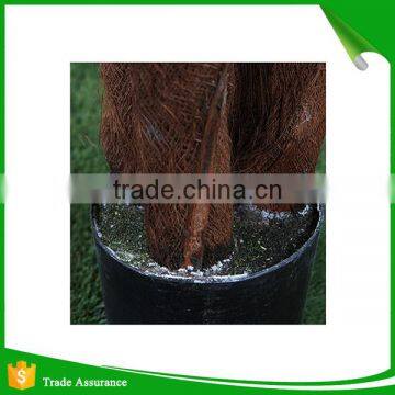 165cm Artificial Dracaena Fragrans Plants Wholesale photo-4