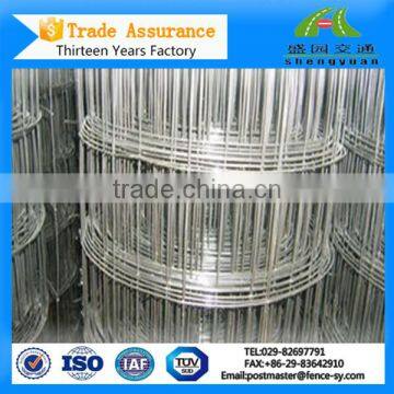 10 gauge Pvc Coated / Galvanized 5X5 Welded Wire Mesh