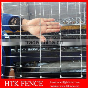 HTK Factory HOT SALE 10cm x 10 cm Small Animal Fence For Chicken