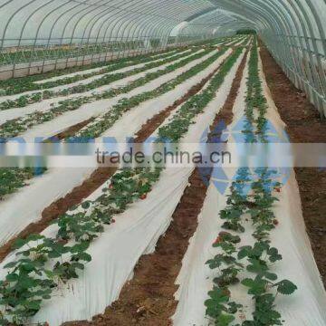 Commercial tunnel greenhouse shade house