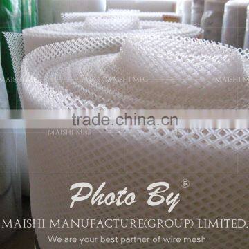 PP Extruded Wire Netting photo-4