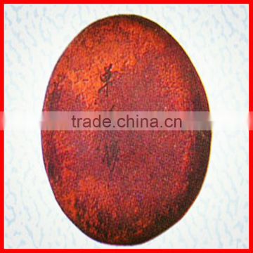 Chinese Wuhan Pearl Dan Da Gong