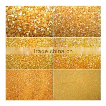 China Popular Wheat Flour Mill Factory photo-6