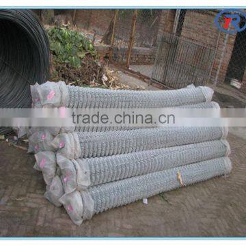 Pvc Coated Chain Link Fence photo-3