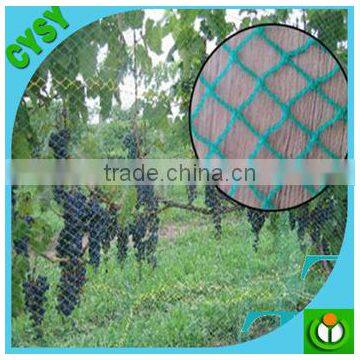 Green Polyethylene Anti-bird Net /plastic Net in Caton Packing