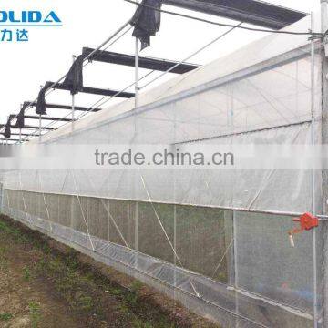 Baolida Multi-span Greenhouse PE Film Green House Used Greenhouse for Tomato photo-2