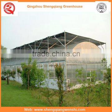 High Quality 12m Multi-span Agriculture Plastic Film Greenhouse for Sale photo-2