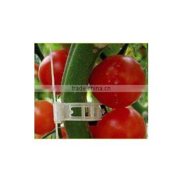 2017 Hot Sell Plant Support Clips for Vine Garden Vegetables photo-3