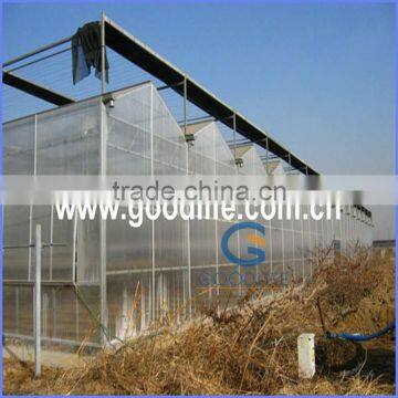 Goodlife Polycarbonate Sheet for Greenhouse photo-3