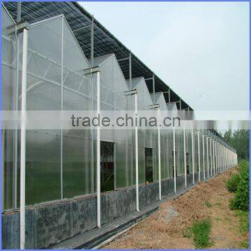 6mm Greenhouse Polycarbonate Sheet Price