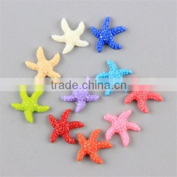 Micro landscape Wishing bottle decoration 10 color mixed mini sea star