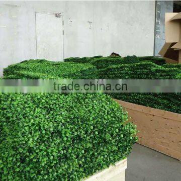 Boxwood Hedge Wall&Fence factory indoor/outdoor use fake grass wall