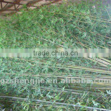 Artificial Bamboo Fence Cheap Artificial Bamboo Stick Bamboo Pole photo-3