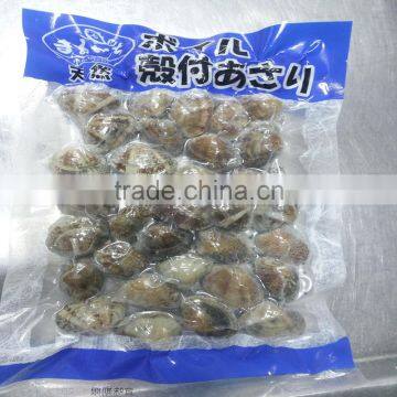 Fresh Frozen Short Necked Clam Shell-On photo-2