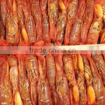 Frozen Cooked /frozen Raw Canadian Lobster photo-5