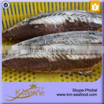 Frozen on Board Mackerel Fish Fillet