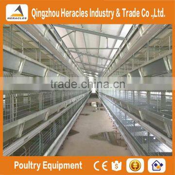 Hercles Trade Assurance Poultry Equipment Layer Egg Chicken Cage/poultry Farm House Design