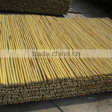 drilled bamboo fence