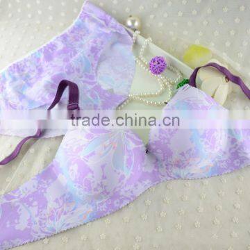 Wholesale Plastic strip sexy set push up bra