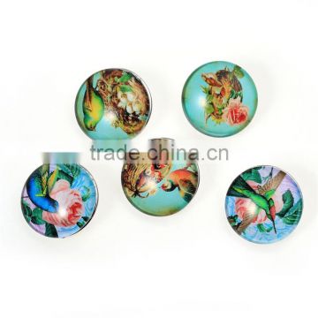 Custom Jewelry Bird Pattern 18mm Glass Buttons For Snap Button Bracelets