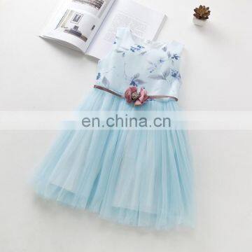 Blush Petal Baby Girl Dress Sleeveless Rustic Flower Tulle Dress Princess Costume