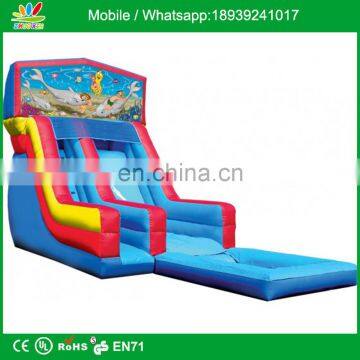 18ft Modular Wet & Dry Inflatable Slide with Pool