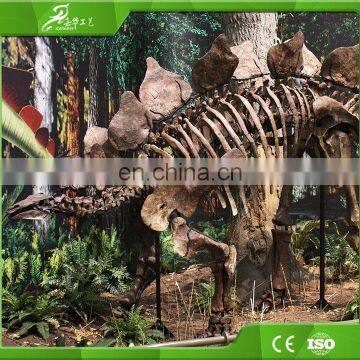 KAWAH Life Size Museum Exhibition Fiberglass 5M Dinosaur Skeleton Fossils