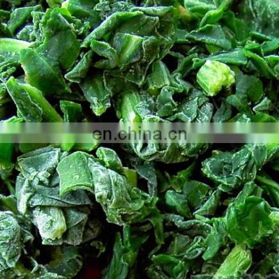 2021 new crop food planet hot selling iqf frozen spinach